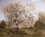 Carl Fredrik Hill, apple tree in blossom